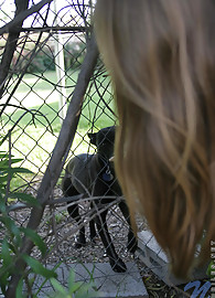 Lisa Nubiles Photo 15