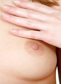 Hailey Comet Photo 15