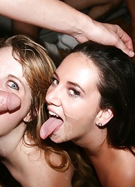 Bailey Blue Photo 14