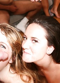 Bailey Blue Photo 15