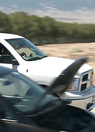 Nova Brooks Photo 10