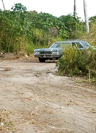 Brandi Belle Photo 12