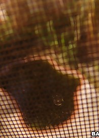 Victoria Sweet Photo 13