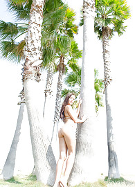 Angelica Heart Photo 2