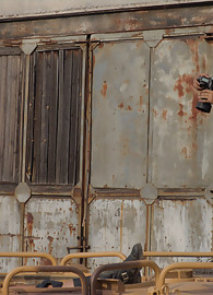 Caylian Curtis Photo 9