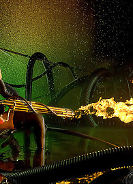 Melodie Gore Photo 14