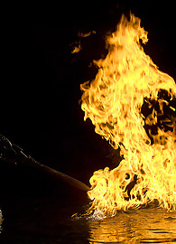 Melodie Gore Photo 10