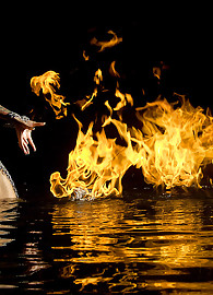 Melodie Gore Photo 15