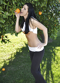 India Summer Photo 8