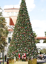 Destiny Summers Photo 13