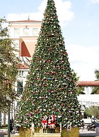 Destiny Summers Photo 14