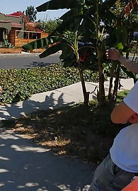 Carolyn Reese Photo 9