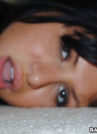 Sativa Rose Photo 13