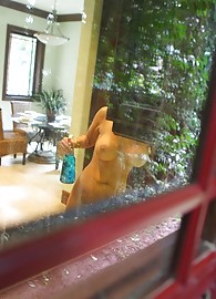 Brooklyn Bailey Photo 2