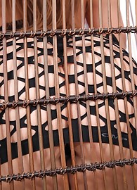 Debbie White Photo 7