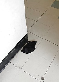 Lizzy London Photo 4