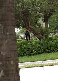 Savana Ginger Photo 1