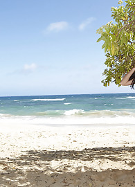 Taylor Vixen Photo 2