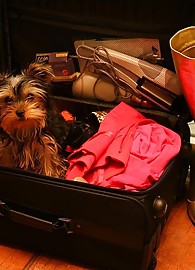 Sophie Moone Photo 14