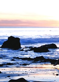 Ann Marie Rios Photo 15