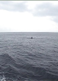 Sophie Moone Photo 6