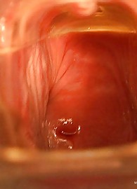 Stella Stevens Photo 14