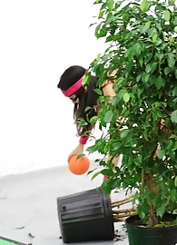 Averi Brooks Photo 6