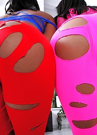 Bunny Knight Photo 1