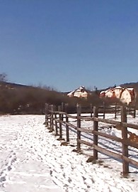 Electra Angels Photo 1