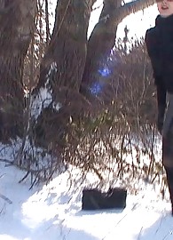 Electra Angels Photo 2