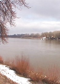 Sheila Grant Photo 4