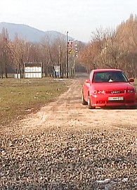 Sheila Grant Photo 1