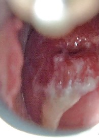 Tiffany Rousso Photo 10