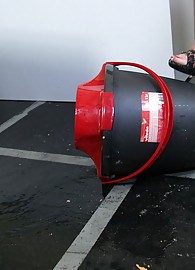 Dorina Golden Photo 7