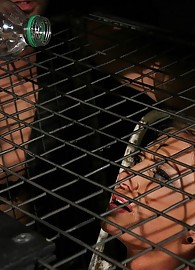 Pearl Diamond Photo 6