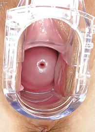 Heather Vandeven Photo 15