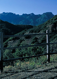 Erica Campbell Photo 1