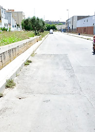 Alexandra Cat Photo 2