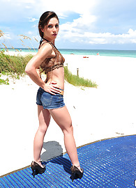 Vanessa Sixxx Photo 1