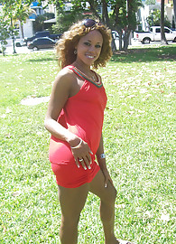 Morning Star Photo 4