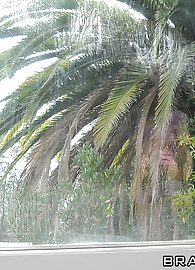 Ashley Fires Photo 4