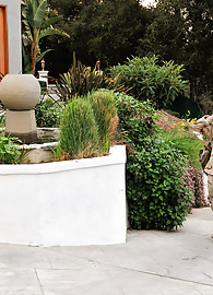 Dillion Harper Photo 1