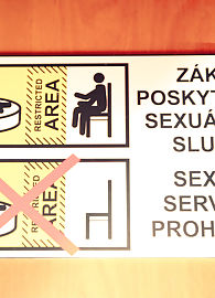 Carmen Gemini Photo 20