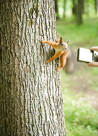 Summer Breeze Photo 13