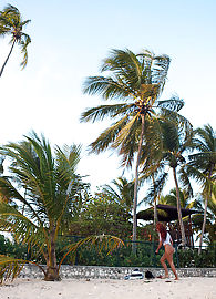 Ashley Bulgari Photo 20