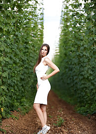 Connie Carter Photo 1