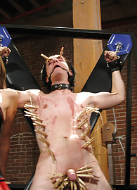 Amber Rayne Photo 17