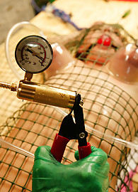 Brooke Adams Photo 15