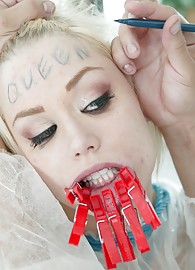 Ash Hollywood Photo 15