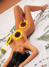 Hot tanned brunette Karla Spice with great puppies posing covered with sunflowers.